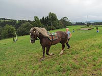 Foto č.12 (autor: archiv Múzy dětem, z.s.)