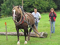 Foto č.16 (autor: archiv Múzy dětem, z.s.)