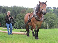 Foto č.17 (autor: archiv Múzy dětem, z.s.)