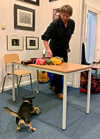 Foto č.04 (autor: archiv Múzy dětem, z.s.)